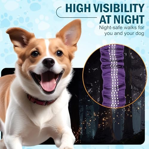 Hands Free Dog Leash for 2 Dogs, Waist Leash with Dual Bungee - Image 6