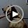 Dog Ear Cover for Anxiety Relief, Dog Calming Hood for Grooming and Bath Drying, Pet Cats and Dogs Ear Protector (Medium) - Image 7