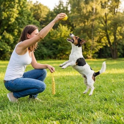 4 Pack Dog Chew Toys Cute Yellow Pet Interactive Toys Doggy Teeth Soft Outdoor for Dog Owner Christmas Holiday New Year Party Gift - Image 5