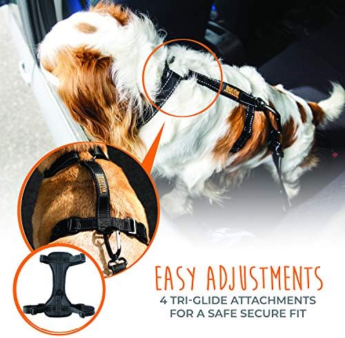 Mighty Paw Dog Car Harness - Vehicle Safety Gear - 2 Leash Attachment - Adjustable Straps - Reflective Stitching - Soft Padding - Standard Harness Functionality - No Pull Front Leash Attachment - L - Image 4