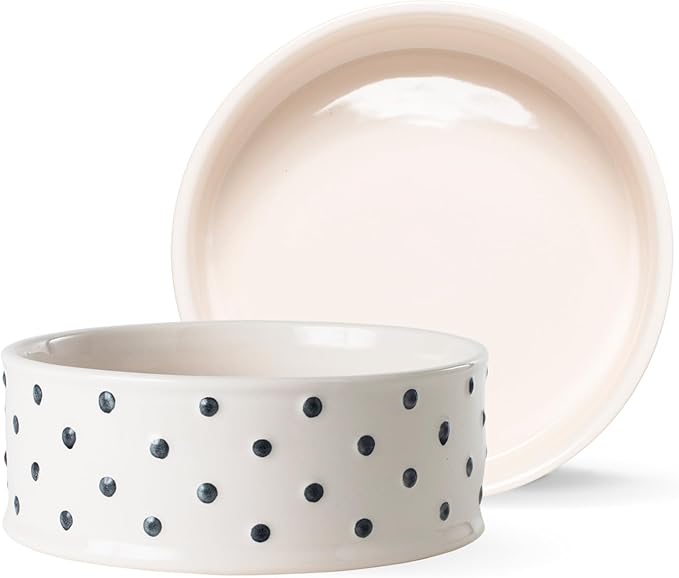 Fringe Studio Memento DOT Medium Stoneware Pet Bowl, PetShop Collection (633201)