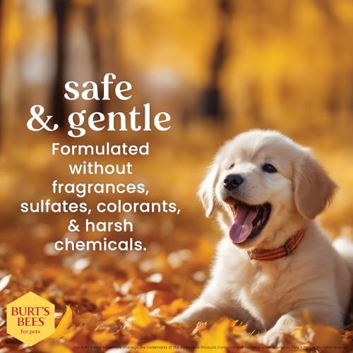 Burts Bees Tearless Shampoo & Conditioner with Buttermilk, 16 Fl Oz, 6-Pk - Image 5