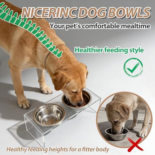 Acrylic&Stainless Steel Dog Bowls,Dog Cat Water Bowl,Acrylicdog Bowl Stands with 2 Removable Stainless Steel Bowls,Pet Feeder Comfortable Mealtime for Dogs & Cats - Image 4