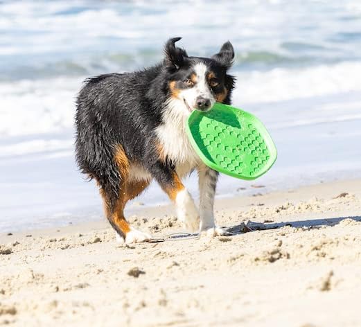 PROJECT HIVE ·PET COMPANY· Dog disc - Great for Fetch - Includes a Lick mat on Back - Floats in Water, Smooth Glide - Made in The USA (Tropical Coconut) - Image 6