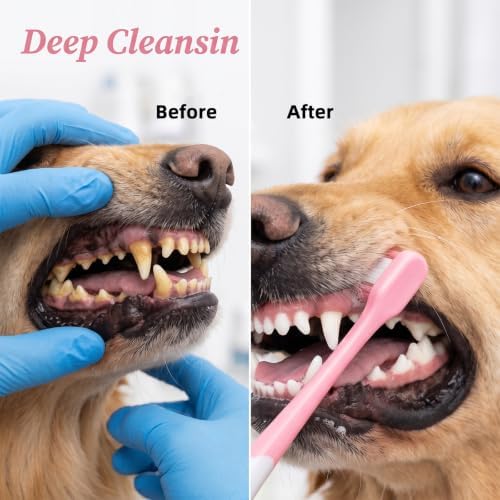 2 Pcs Small Dog Toothbrush, Cat Tooth Brush & Puppy Toothbrush - Image 7