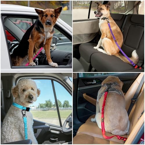 Plutus Pet Dog Seat Belt for Car, Adjustable Harness with Elastic Bungee - Image 7