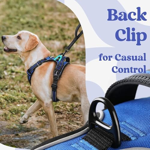 rabbitgoo Dog Harness Small Sized, Updated Easy On & Off with 3 Buckles - Image 6