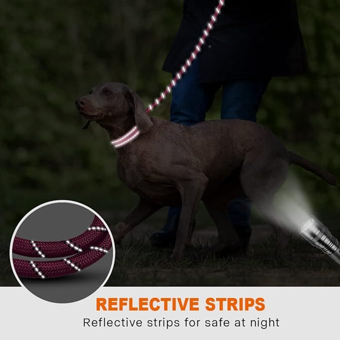 Taglory Rope Dog Leash 4 FT with Comfortable Padded Handle, Highly Reflective Threads Leash and Anti-Tangle Clip for Walking Medium Large Dogs, 1/2 inch, Hotpink