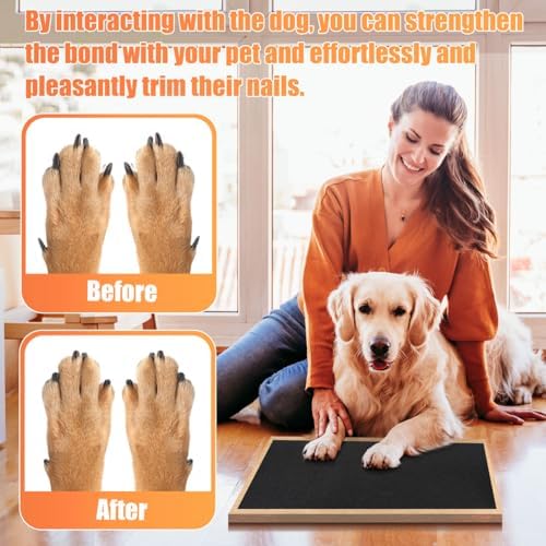 120 Grit Pet Nail Self Adhesive Replacement Emery Paper, 10in*13ft, Black - Image 3