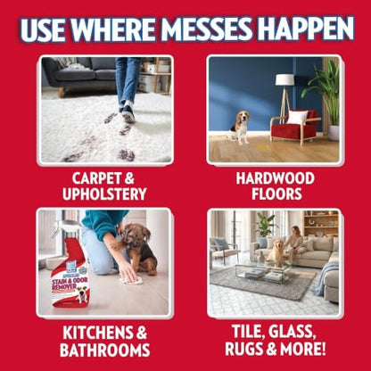 OUT! PetCare Pet Stain & Odor Remover, Carpet Cleaner, 32oz (2 Pack) - Image 5