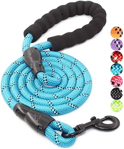 BAAPET 2/4/5/6 FT Dog Leash with Comfortable Padded Handle and Highly Reflective Threads for Small Medium and Large Dogs (5FT-1/2'', Blue) by BAAPET