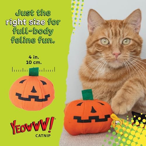 Yeowww! Catnip Haloween Pumpkin Catnip Cat Toy - 3 in toy for cats - 100% Stuffed with Premium Organically Grown Catnip, Made in USA - Image 5
