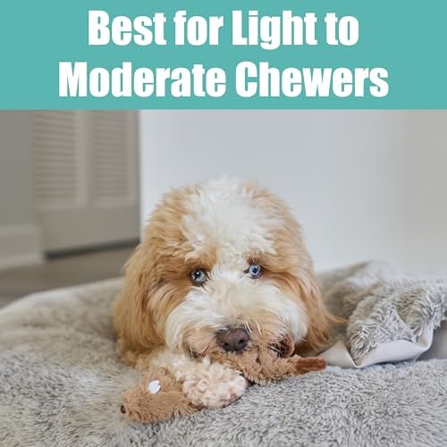 SPOT Skinneeez Beaver Dog Toy – 14" Stuffing-Free Plush Squeaky Dog Toy, Durable Interactive Toy for Small & Medium Dogs, Light to Moderate Chewers, Mess-Free Play - Image 6