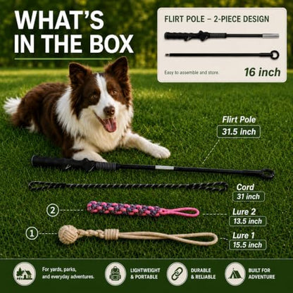 Flirt Pole for Dogs,Heavy Duty Interactive Chase & Rope Tug Toy - Image 7