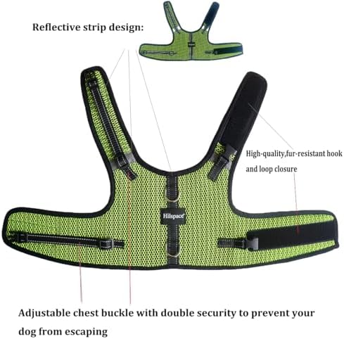 Mini Dachshund Harness – No Armpit Rub, Escape Proof, Reflective, No Pull Vest-Style Dachshunds Harness,Breathable Mesh Dog Harness (Fluorescent Green, M: Chest 42-52cm (16.5"-20.5")) - Image 2