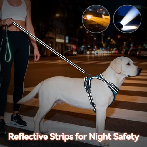 PHOEPET No Pull Dog Harness Medium Reflective Front Clip Puppy Vest - Image 5