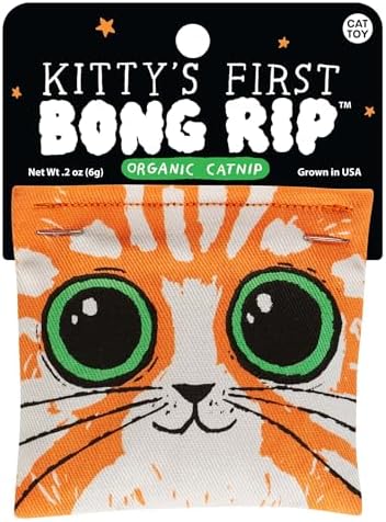 Blue Q Catnip - Cute Cat Toys for Biting w/Funny Graphics - First Bong Rip by BlueQ