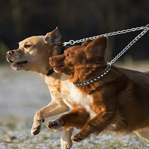 PETTOM Heavy Duty 2 Way Dog Lead Metal Chain Double Pet Clip Leash Coupler 360° Swivel No Tangle Double Dog Walking & Training Leash(S 3.0mm*50cm, Silver) - Image 6
