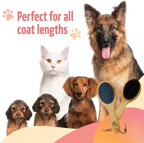 The Buddy System - Combo Bristle Pet Brush, 2-in-1 Brush - Image 5