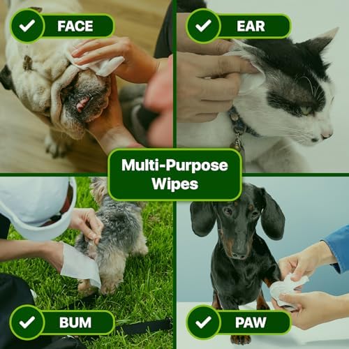 Premium Unscented Dog Wipes for Paws and Butt 100 Count - Compostable, Plant Based Dogs and Cat Wipes, Strong Grooming Pet Wipes for Dogs and Cats - Use on Body, Bum, Ear & Paws (Pack of 1) - Image 3