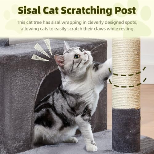 Taoqimiao 32.2in Cat Tree with Toy, Small Cat Tower for Indoor Cats, MS043G - Image 5