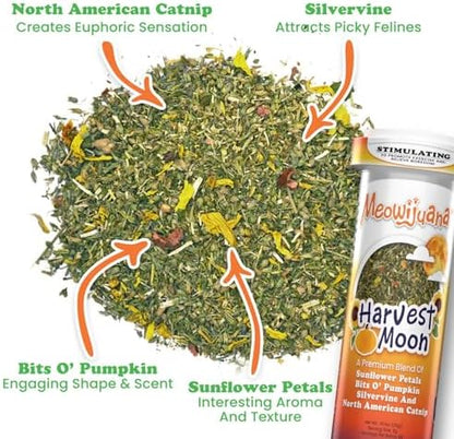 Meowijuana Fall Pumpkin Spice Latte Cat Toy and Blend Bundle | High-Potency - Image 2