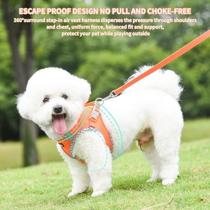 AIITLE Escape-Proof Dog Harnesss and Leash Set, Step in Pet Vest, Orange L - Image 3