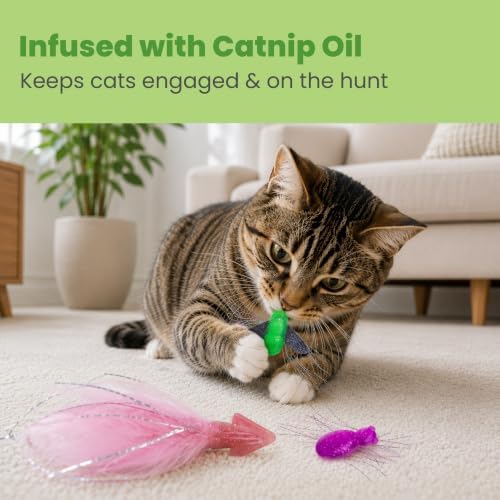 Catstages Squish Prey Cat Toys for Cats & Kittens, Multi-Textured Soft & Squishy for Bat & Carry, Catnip Infused, 2–5" Long, 3-Pack (Squid, Spider, Fly) - Image 5