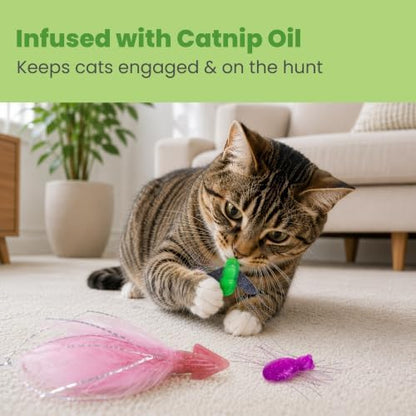Catstages Squish Prey Cat Toys for Cats & Kittens, Multi-Textured Soft & Squishy for Bat & Carry, Catnip Infused, 2–5" Long, 3-Pack (Squid, Spider, Fly) - Image 5
