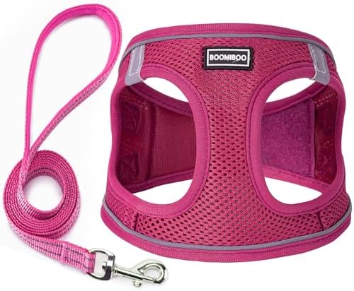 Dog Harness with Leash Set, Step-in Adjustable Puppy Vest, Rose Red XS by BOOMIBOO