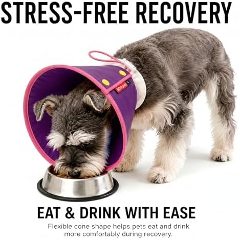 Soft Dog Cone Collar Alternative, Adjustable Pet Recovery Collar After Surgery, Lightweight EVA Foam E-Collar for Dogs & Cats, Water-Repellent Cone to Prevent Licking Wounds (Purple, M+) - Image 3