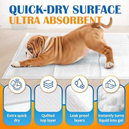 Paws & Claws Medium 24x24 Pee Pads for Dogs, 50 Count, Adhesive Tabs - Image 6