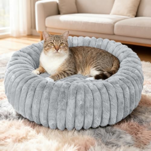 Washable Small Cat Dog Bed,Puppy Bed Cat Beds for Indoor Cats(Grey,S) by Unknown