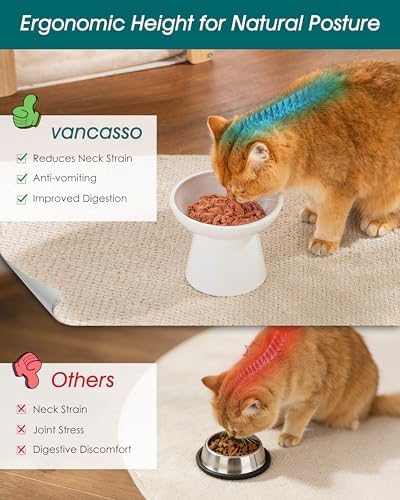 vancasso 2-Pack Elevated Cat Food Bowls, 6.2" Wide Shallow Cat Feeding Dish - Image 5