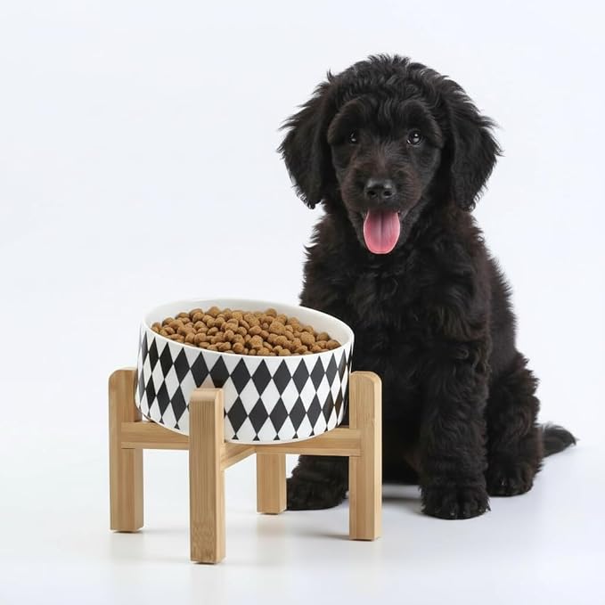 Petygooing Elevated/Raised 15°Slanted Ceramic Dog Bowl for Small and Medium Breeds, Tilted Anti Slip Pet Bowl,Food Water Dish with Stand for Cats and Dogs (28 OZ/3.6 Cups) Black Rhombus