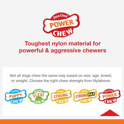 Nylabone Power Chew Dental Dinosaur - Dental Dog Toy for Aggressive Chewers - Large Dog Chew Toys for Teeth Cleaning - Durable Dog Toy for Large Breeds - Chicken Flavor, Large, Up to 50 Ibs. (1 Count)
