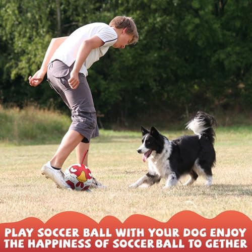 QDAN Dog Ball, Dog Soccer Ball Toy with Straps, Outside Dog Toys,6 Inch - Image 3