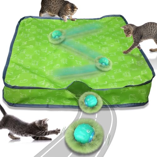 Waaiio Interactive Cat Toys for Indoor Cats,Automatic Moving Cat Ball in Pouch,Chirping Stimulation,Hide-n-Seek Chase Exercise Game,Motion Activate,Rechargeable Kitten Toys by Waaiio