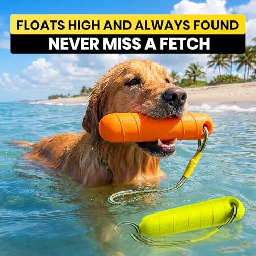 Floating Dog Water Toys - 2 Pack, Bumper Throw Stick for Fetch - Image 3