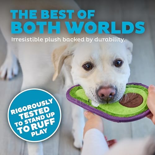 Outward Hound Tough Skinz Durable Chew Plush Squeaky Dog Toy, Avocado, 9" - Image 3