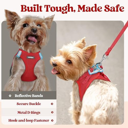 rabbitgoo Dog Harness Small Sized and Leash Set, Step-in Puppy Pet Vest - Image 5