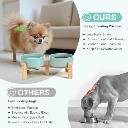 SPUNKYJUNKY Elevated Dog Bowls Ceramic, 5.1'' Dogs and Cat Food Water Bowls Raised with Non-Slip Bamboo Stand for Puppy Small Sized Breed Microwave Dishwasher Safe - 13.5 OZ,Light Green - Image 3