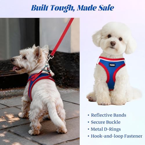 No Pull Dog Puppy Harness and Leash Set Reflective Mesh Vest Small - Image 5