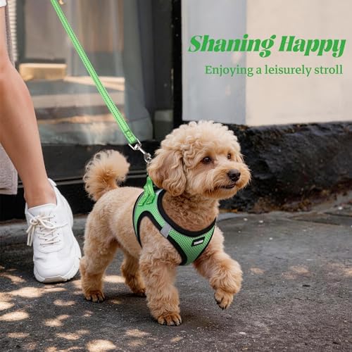 No Pull Dog Puppy Harness and Leash Set Reflective Mesh Vest XX-Small - Image 6