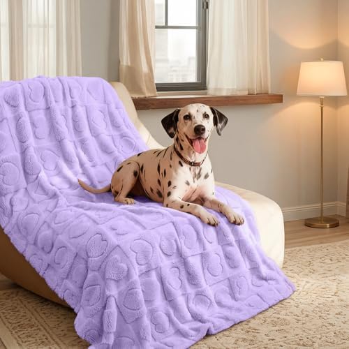 Luciphia 2 Pack Small Dog Blanket, Cozy Fleece Throw for Puppy Cat,57"x40" - Image 3