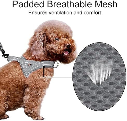 Plutus Pet No Pull Dog Harness for Puppy Small Dogs, Breathable Mesh Padded - Image 3