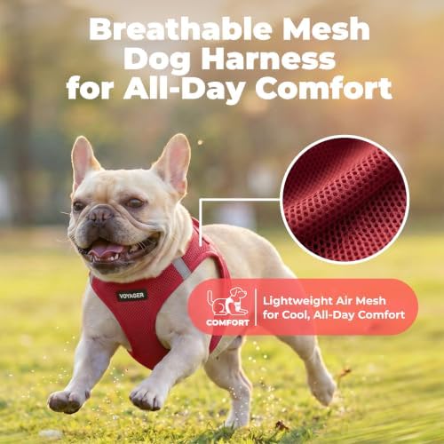 Voyager Step-in Air Dog Vest Harness - Burgundy, X-Large - Image 5