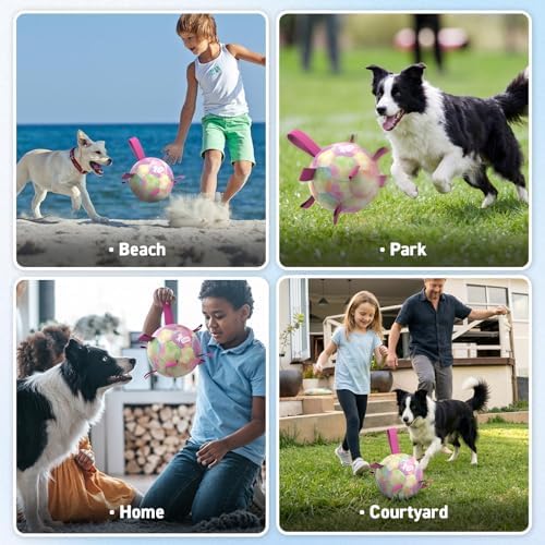QDAN Dog Balls, Dog Herding Ball, 8 Inch Large Dog Soccer Ball with Strap - Image 5