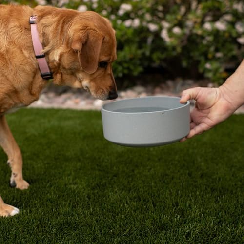 Loving Pets - Dolce Bamboo - Eco-Friendly Pet Bowls & Dishes for Dog, Cats, Puppy Food and Water Dish -Sustainable and Dishwasher Safe, Made with Real Bamboo (Small, Slate-Grey) - Image 4