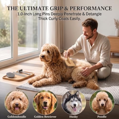 Slicker Brush for Dogs Grooming Kit with Cleaning Rake Tool 4PCS - Image 4